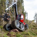 Mežizstrādes pakalpojumi